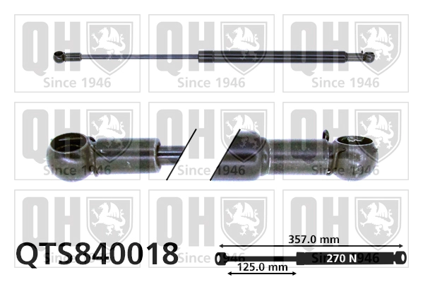 QTS840018