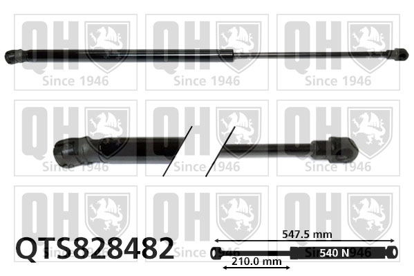 QTS828482