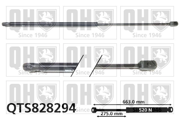QTS828294