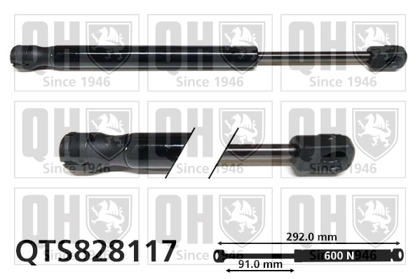 QTS828117