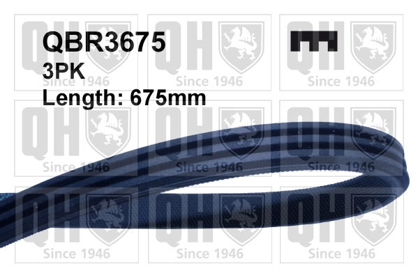 QBR3675