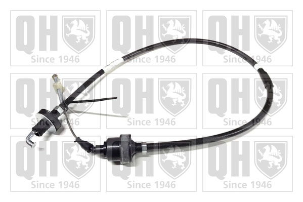 QCC1818