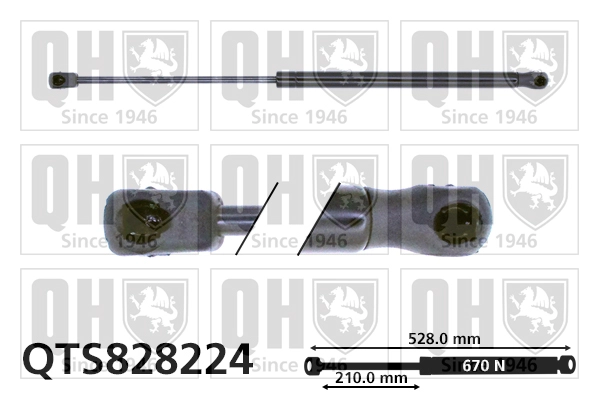 QTS828224