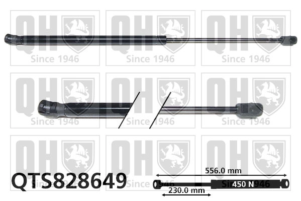 QTS828649