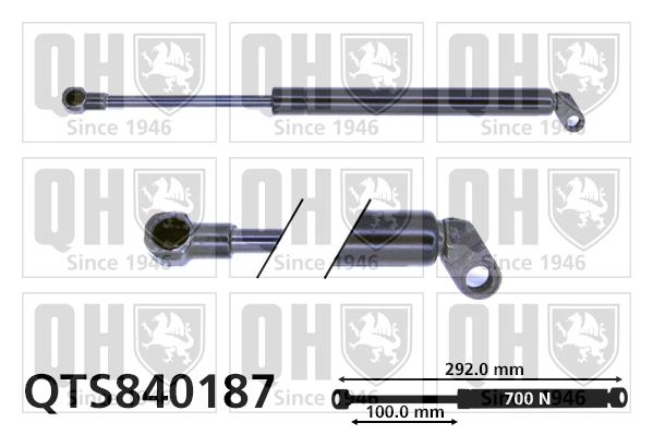 QTS840187
