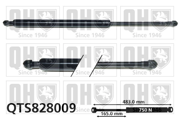 QTS828009