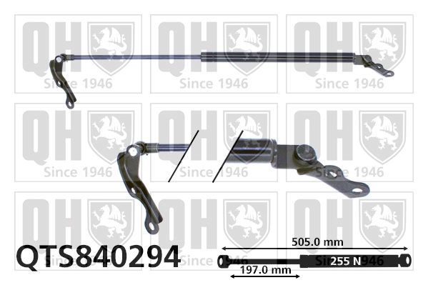QTS840294