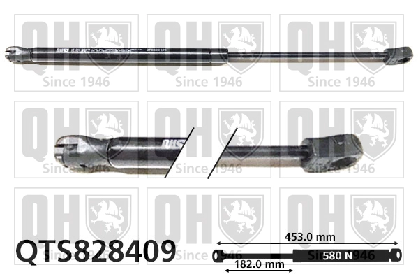 QTS828409