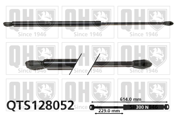 QTS128052