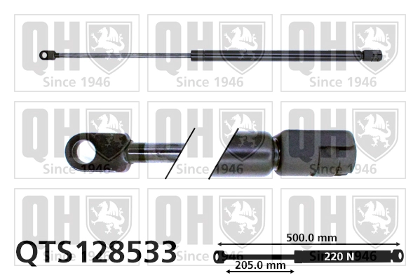 QTS128533