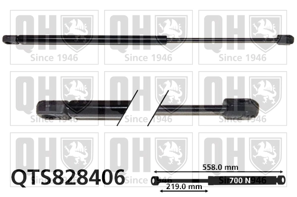 QTS828406