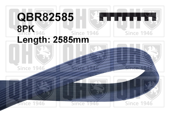 QBR82585