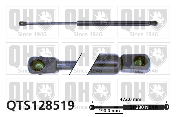 QTS128519
