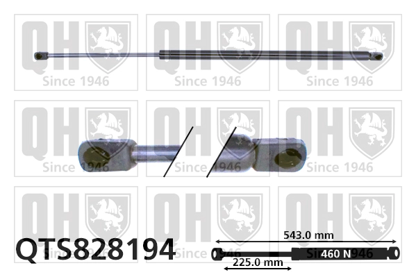 QTS828194