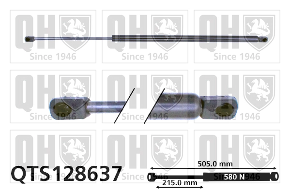 QTS128637