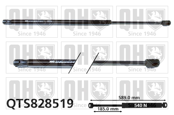 QTS828519