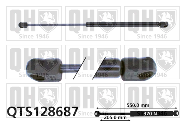 QTS128687