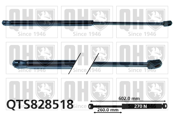 QTS828518