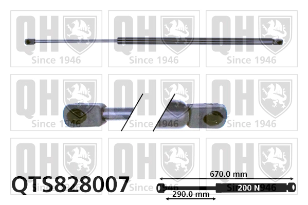 QTS828007