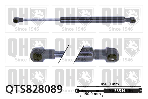 QTS828089