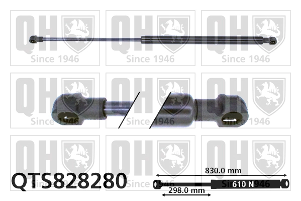 QTS828280