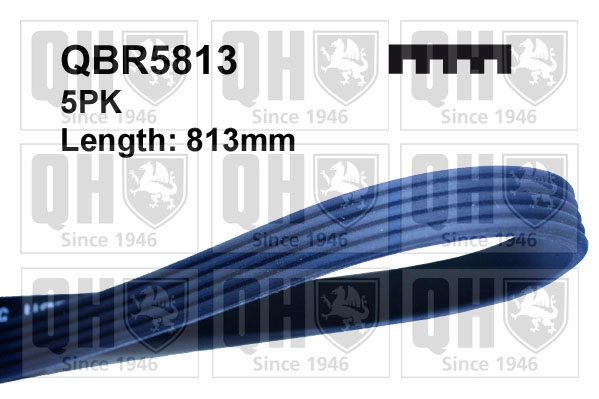QBR5813