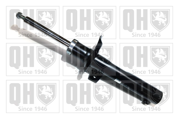 QAG178991