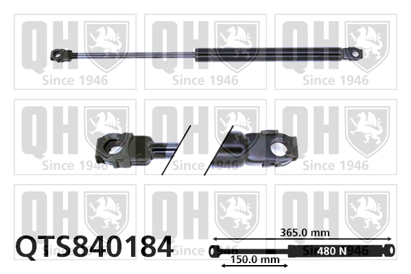 QTS840184