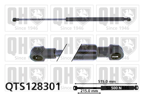 QTS128301