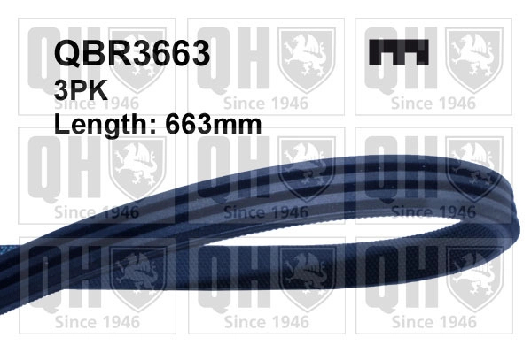 QBR3663