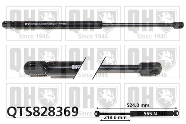 QTS828369