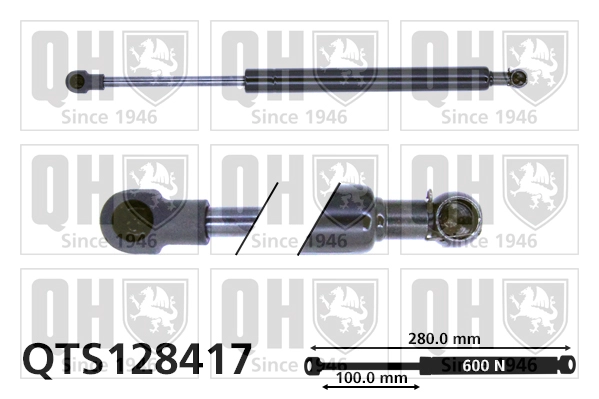QTS128417