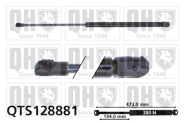 QTS128881