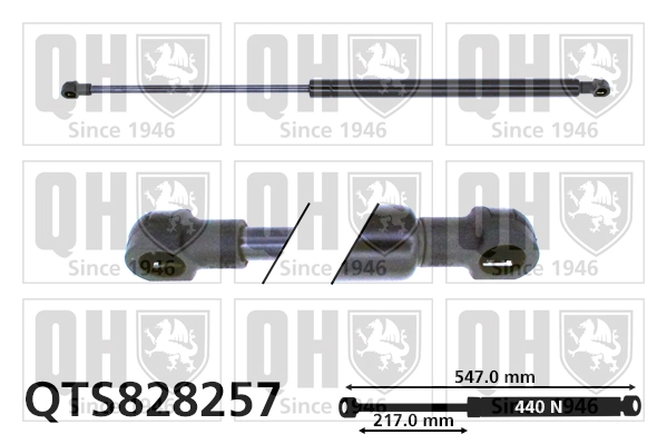 QTS828257