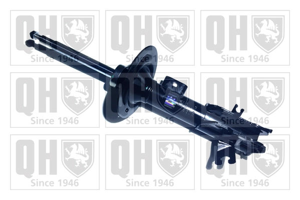 QAG181309