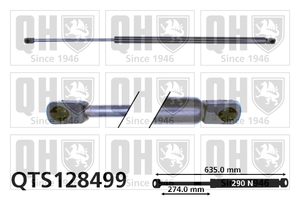 QTS128499