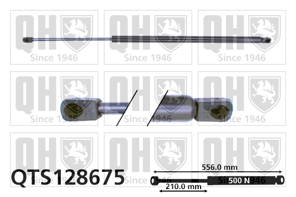 QTS128675
