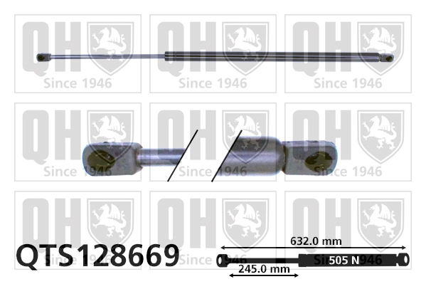 QTS128669