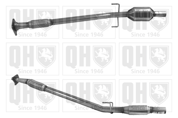QCAT80051