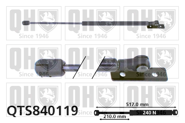 QTS840119
