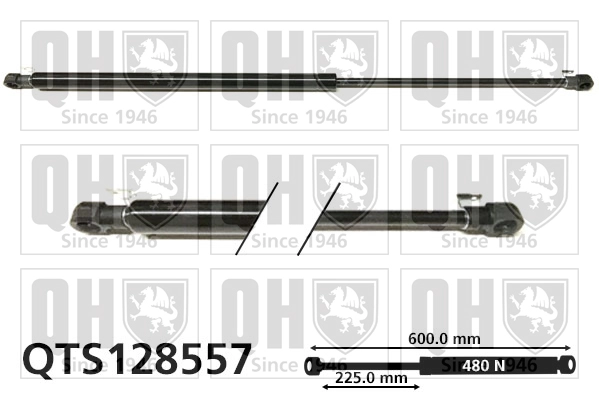 QTS128557