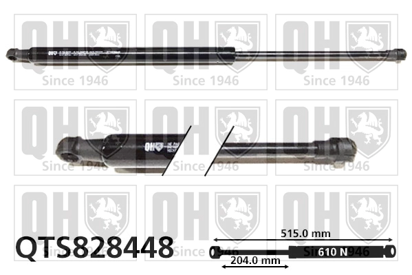 QTS828448