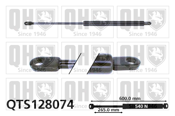 QTS128074