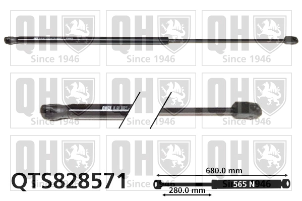 QTS828571