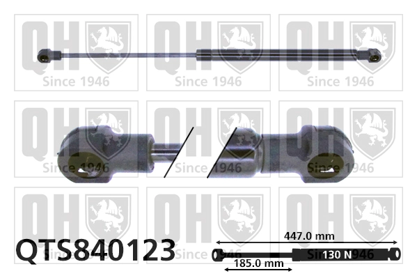 QTS840123