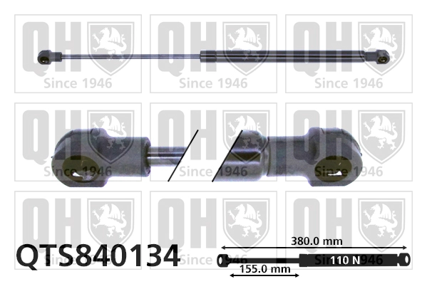 QTS840134