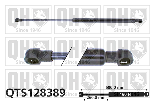 QTS128389