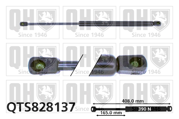 QTS828137