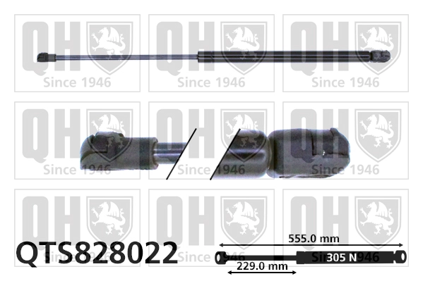 QTS828022