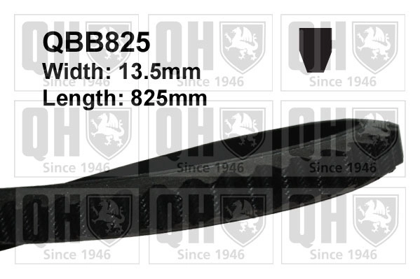 QBB825